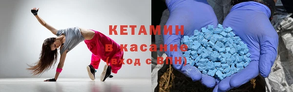 трава Аркадак