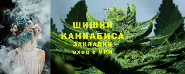 трава Аркадак