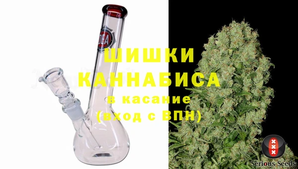 трава Аркадак